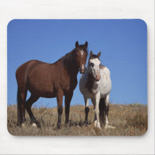 Horses with Sky Background Mouse Mat