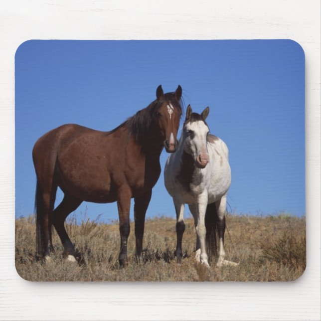 Horses with Sky Background Mouse Mat (Front)