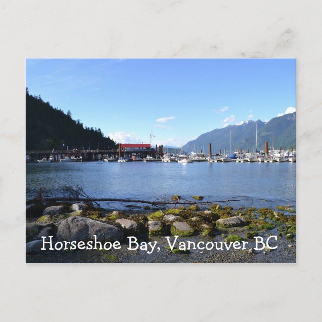 Horseshoe Bay1 Postcard (Front)