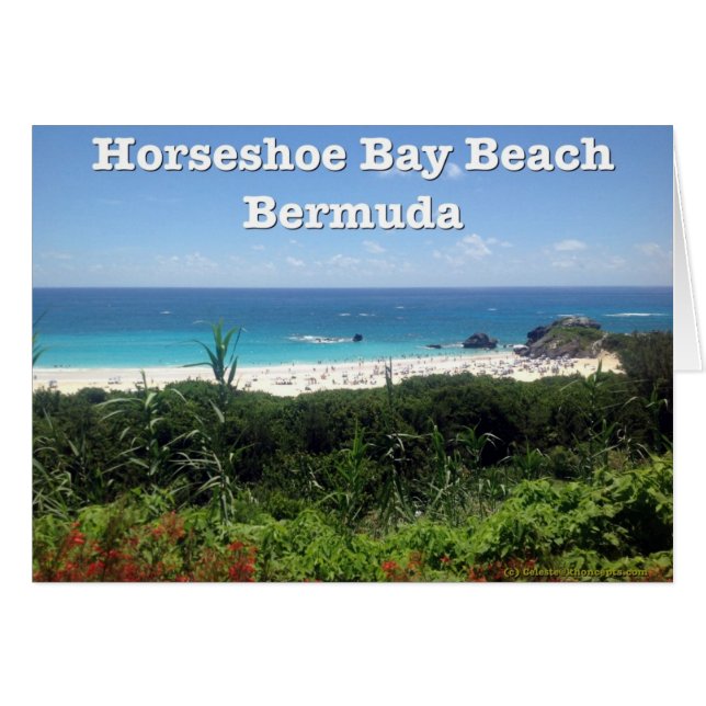 Horseshoe Bay Beach, Bermuda (Front Horizontal)