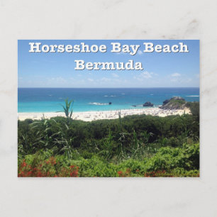 Horseshoe Bay Beach, Bermuda Postcard