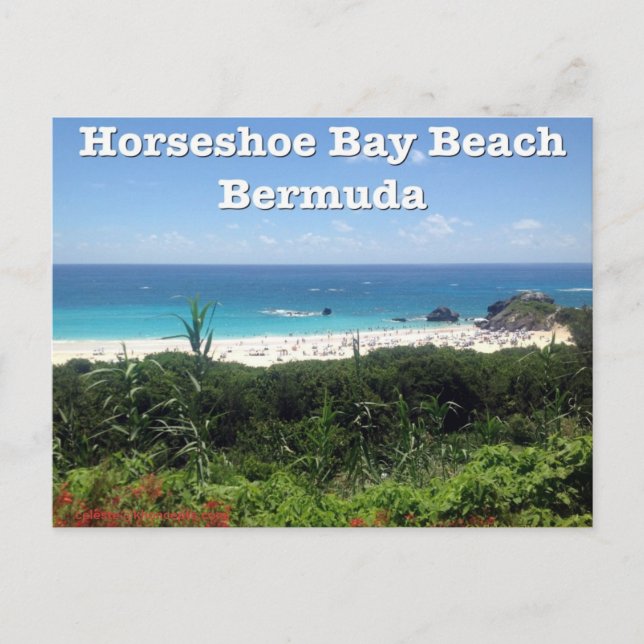 Horseshoe Bay Beach, Bermuda Postcard (Front)