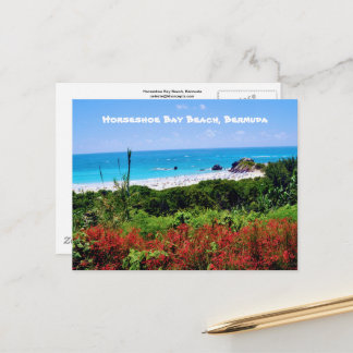Horseshoe Bay Beach, Bermuda Postcard