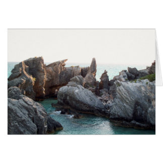Horseshoe Beach Rockscape