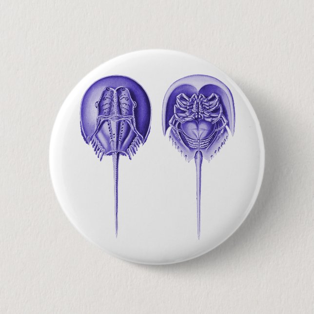 Horseshoe Crab 6 Cm Round Badge (Front)
