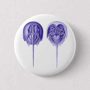 Horseshoe Crab 6 Cm Round Badge