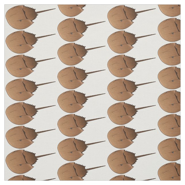 Horseshoe crab cartoon illustration fabric (Swatch)