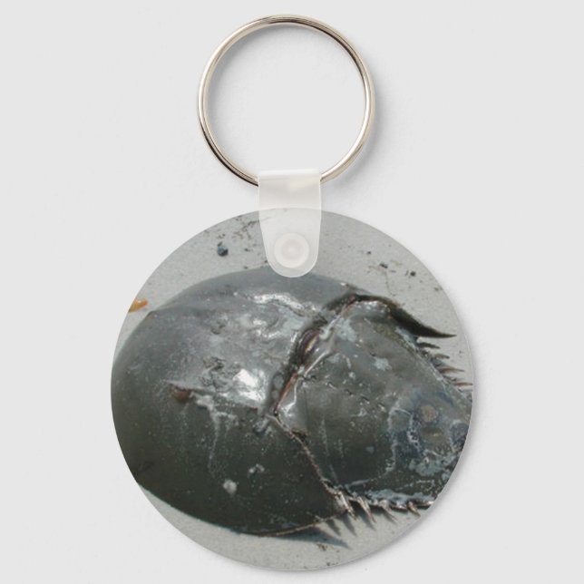 Horseshoe Crab Key Ring (Front)