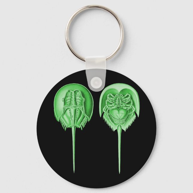 Horseshoe Crab Key Ring (Front)
