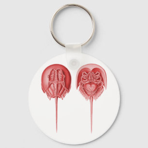 Horseshoe Crab Key Ring