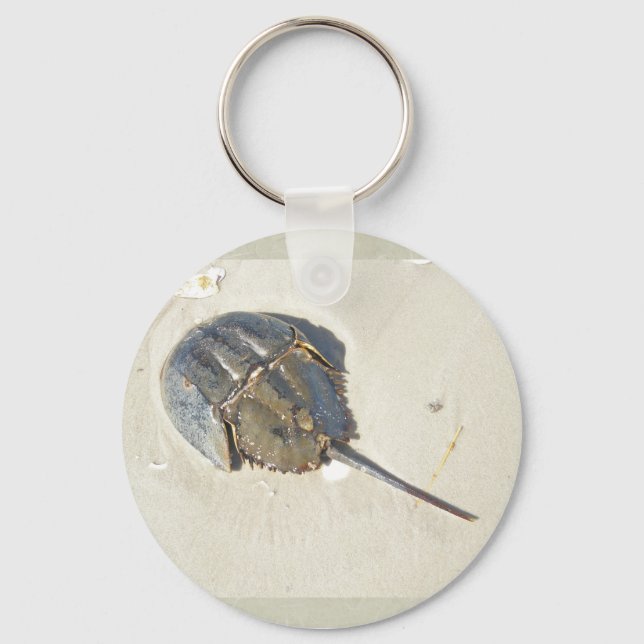 Horseshoe Crab Keychain (Front)
