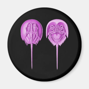 Horseshoe Crab Magnet