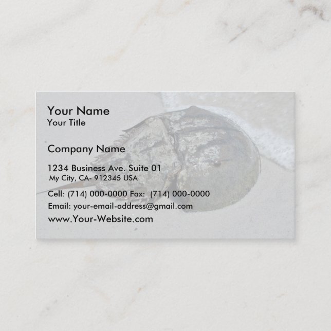 Horseshoe Crab - male Business Card (Front)