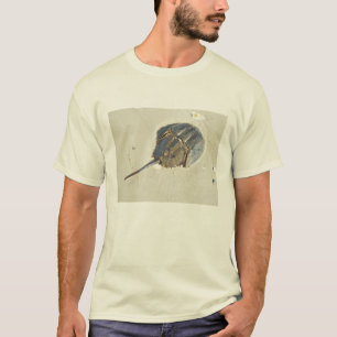 Horseshoe Crab T-Shirt