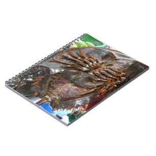 Horseshoe Crab ... Thai Asian Street Food Notebook