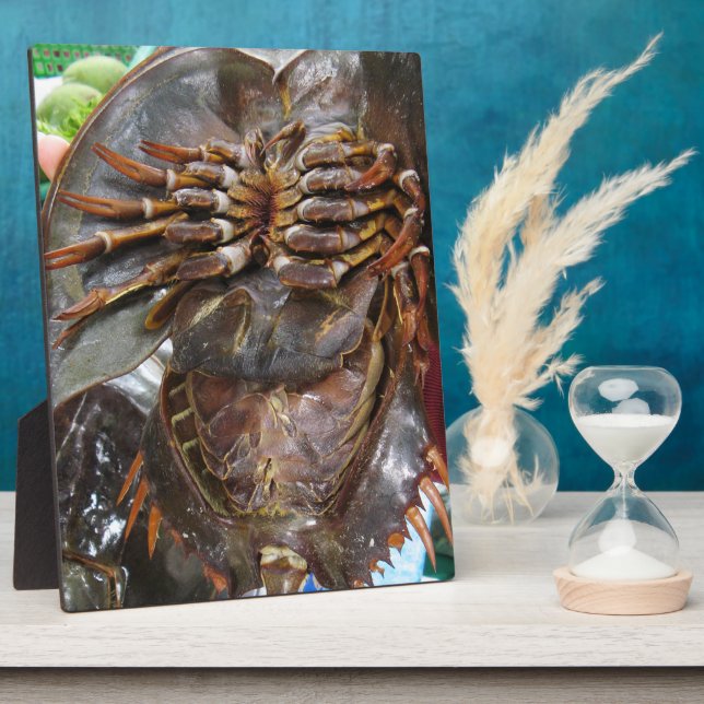 Horseshoe Crab ... Thai Asian Street Food Plaque (Side)