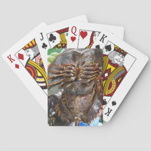 Horseshoe Crab ... Thai Asian Street Food Playing Cards