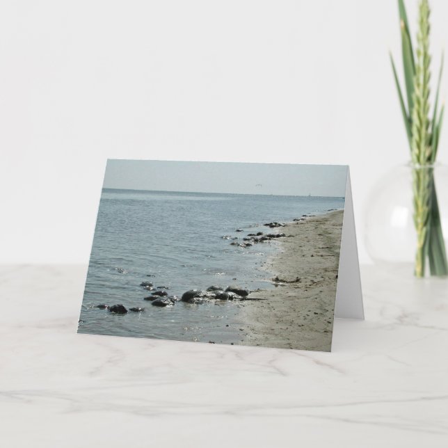 Horseshoe Crabs along beach Card (Front)