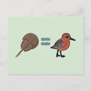 Horseshoe Crabs are Life Postcard