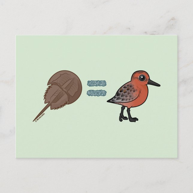 Horseshoe Crabs are Life Postcard (Front)