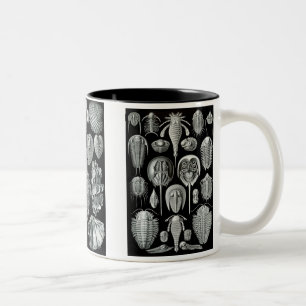 Horseshoe Crabs, Trilobites & Snails Two-Tone Coffee Mug