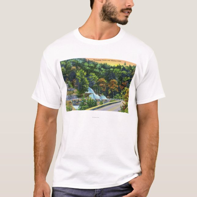 Horseshoe Curve View of Bastion Falls T-Shirt (Front)