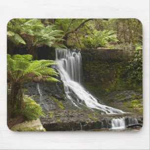 Horseshoe Falls, Mount Field National Park, Mouse Mat