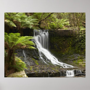 Horseshoe Falls, Mount Field National Park, Poster