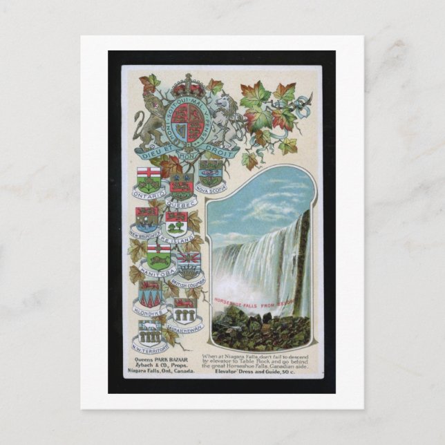 Horseshoe Falls, Niagara Falls, Canada Vintage Postcard (Front)