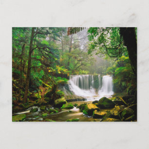 Horseshoe Falls Surrounded by Rainforest Postcard