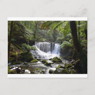 HORSESHOE GALLS MT FIELD NATIONAL FALLS TASMANIA POSTCARD
