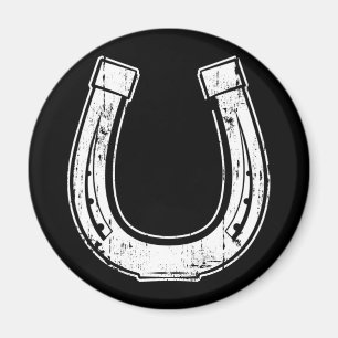 horseshoe magnet