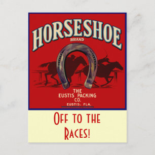 Horseshoe Racer Postcard