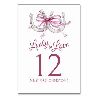 Horseshoes pink ribbon lucky watercolor wedding table number