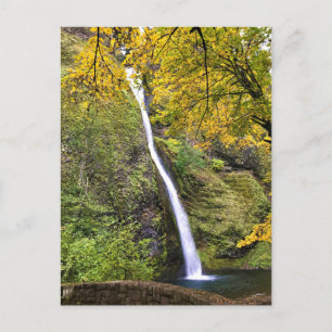 Horsetail Falls, Columbia River Gorge, Oregon Postcard