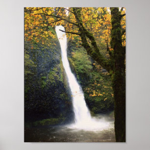 Horsetail Falls, OR Poster
