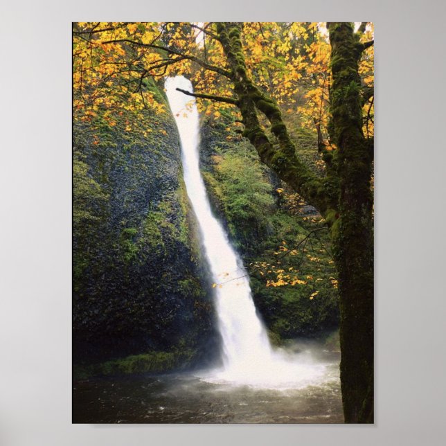 Horsetail Falls, OR Poster (Front)