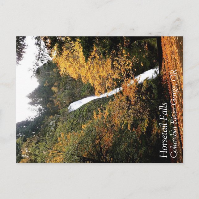 Horsetail Falls, Oregon Postcard (Front)