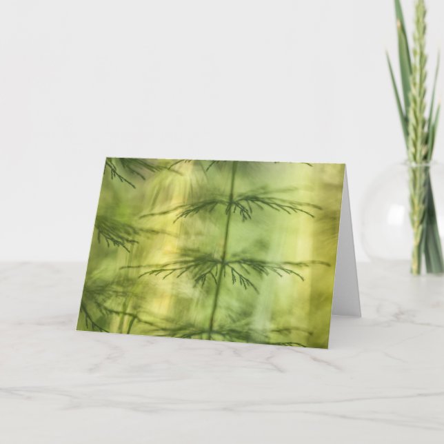 Horsetail Nature Photo Card (Front)