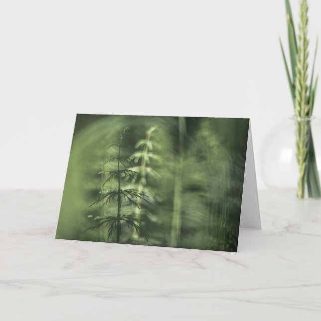 Horsetail Nature Photo Card (Front)