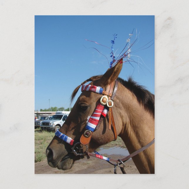 Horsey 4th postcard (Front)