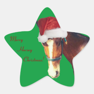 Horsey Christmas Star Sticker