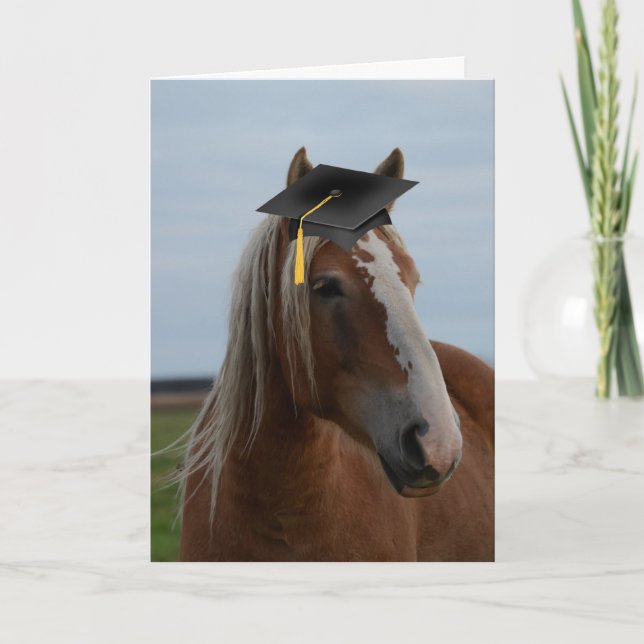 Horsey Graduation Card (Front)