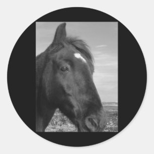 Horsey Inishowen Black And White Vertical Sticker 