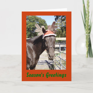 Horsey Season's Greetings Holiday Card