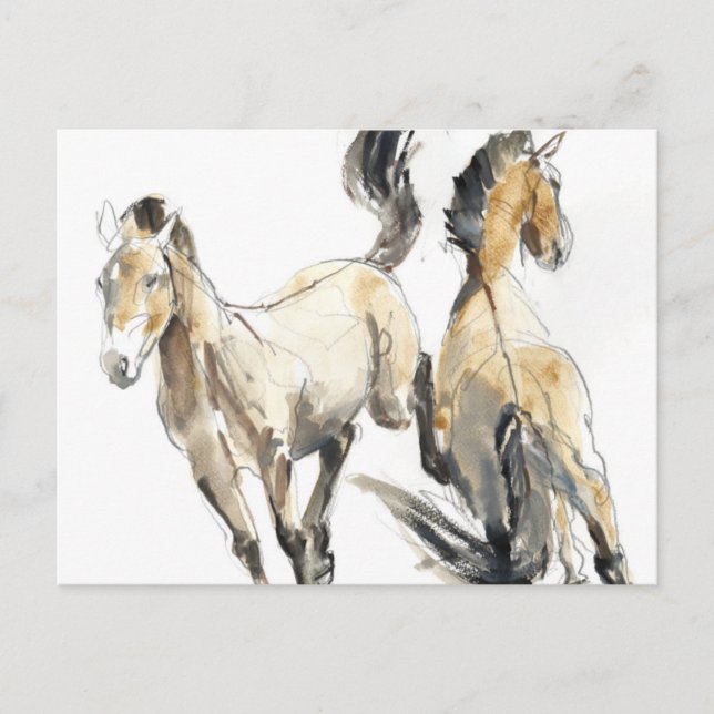 Horsing 2013 postcard (Front)