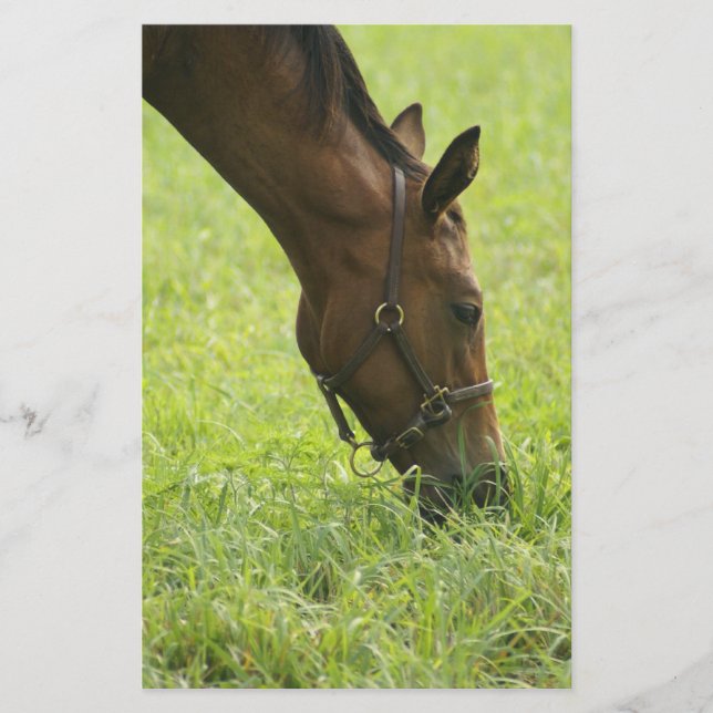 Horsing Around (Front)