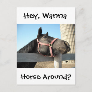 Horsing Around Postcard