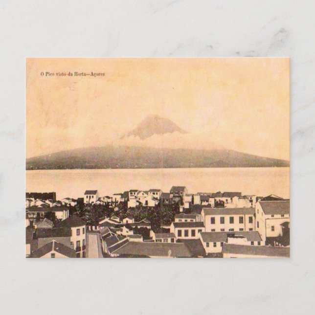 Horta Azores 1906 Postcard (Front)