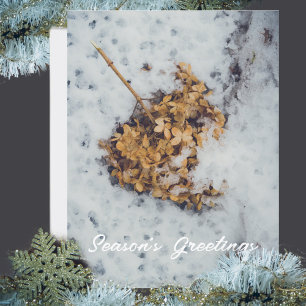 Hortensia flower on the snow  holiday postcard